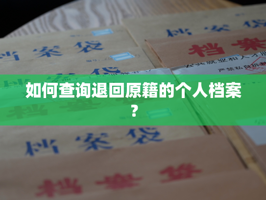 如何查询退回原籍的个人档案？
