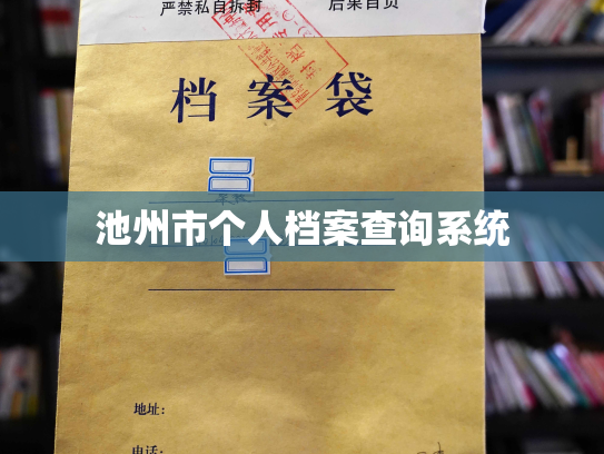 池州市个人档案查询系统