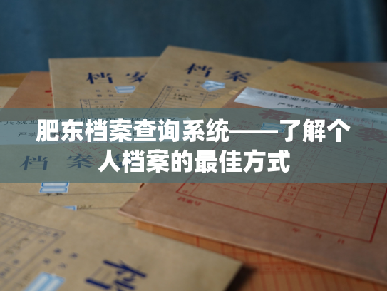肥东档案查询系统——了解个人档案的最佳方式