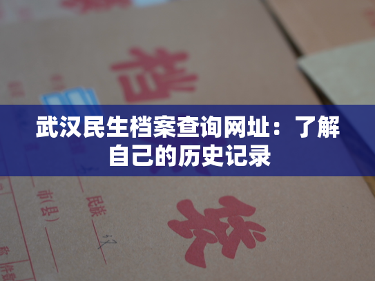 武汉民生档案查询网址：了解自己的历史记录