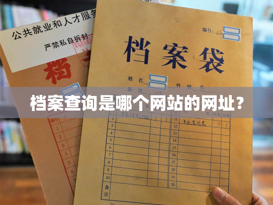 档案查询是哪个网站的网址？