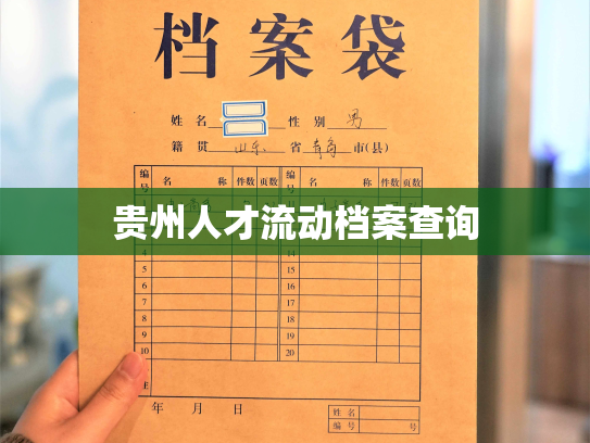 贵州人才流动档案查询