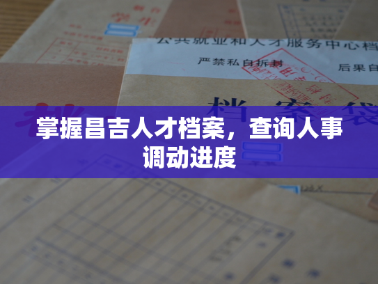 掌握昌吉人才档案，查询人事调动进度
