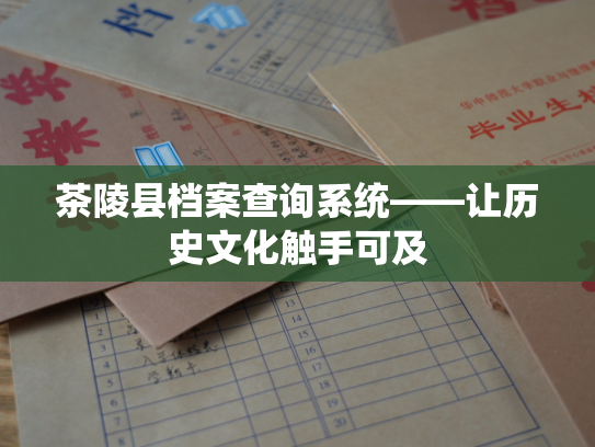 茶陵县档案查询系统——让历史文化触手可及