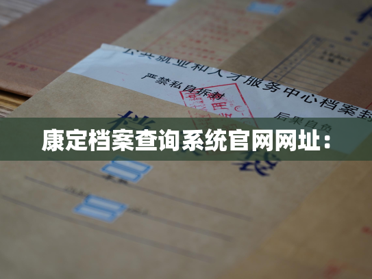 康定档案查询系统官网网址：