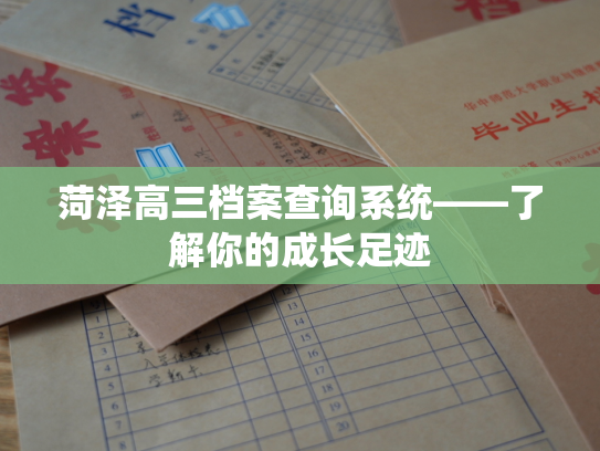 菏泽高三档案查询系统——了解你的成长足迹