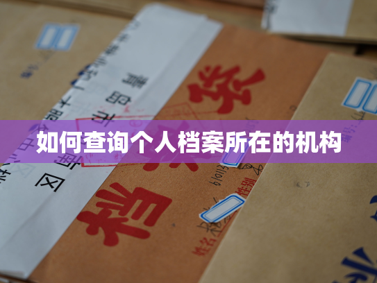 如何查询个人档案所在的机构