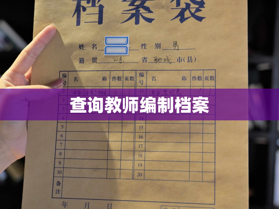 查询教师编制档案