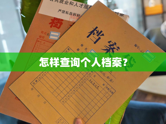 怎样查询个人档案？