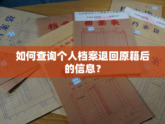 如何查询个人档案退回原籍后的信息？