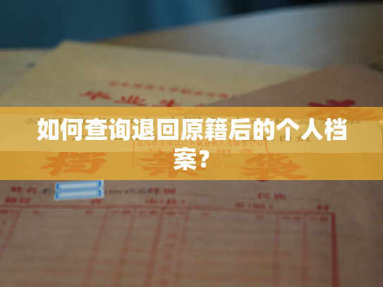 如何查询退回原籍后的个人档案？