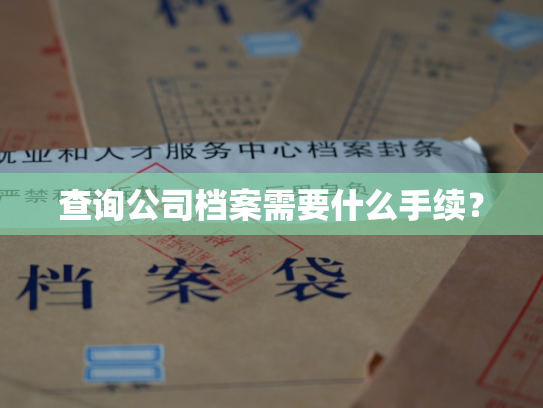 查询公司档案需要什么手续？