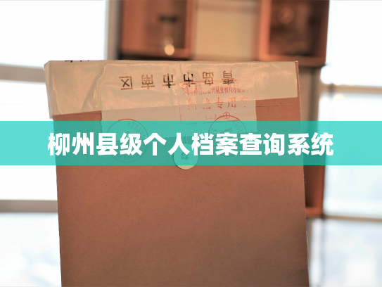 柳州县级个人档案查询系统