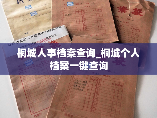 桐城人事档案查询_桐城个人档案一键查询