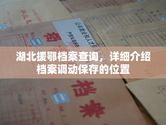 湖北援鄂档案查询，详细介绍档案调动保存的位置