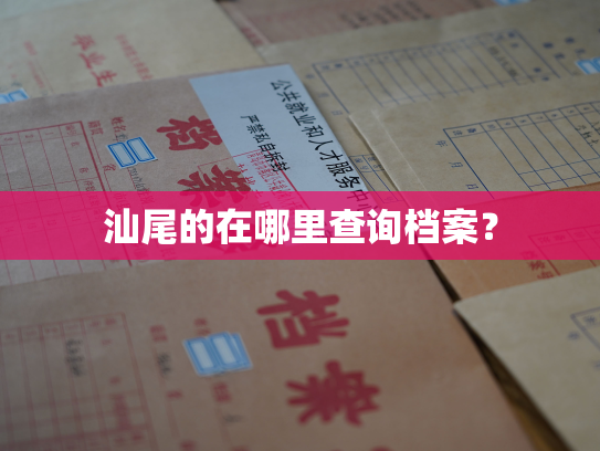 汕尾的在哪里查询档案？