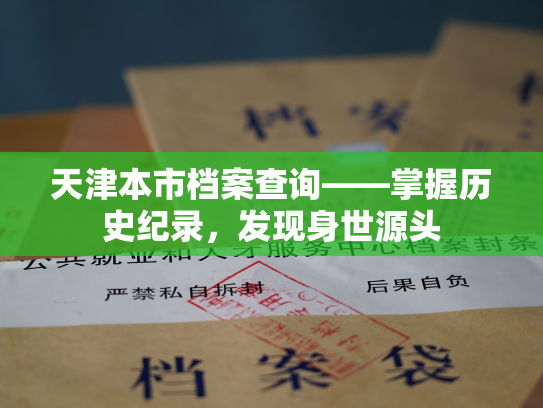 天津本市档案查询——掌握历史纪录，发现身世源头