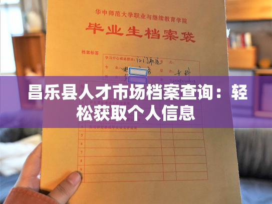 昌乐县人才市场档案查询：轻松获取个人信息