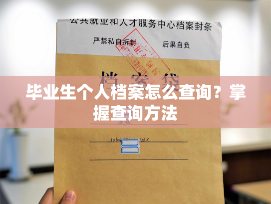 毕业生个人档案怎么查询？掌握查询方法
