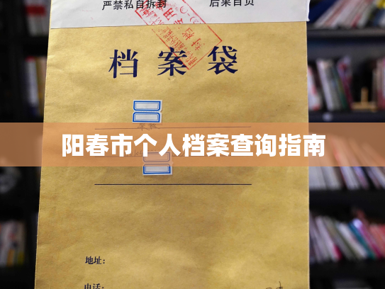 阳春市个人档案查询指南