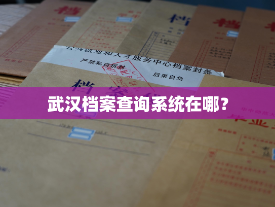 武汉档案查询系统在哪？