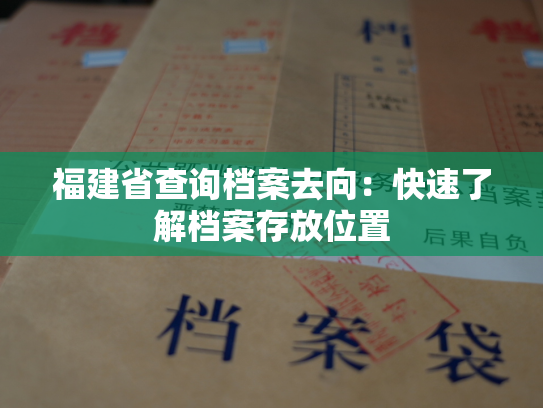 福建省查询档案去向：快速了解档案存放位置