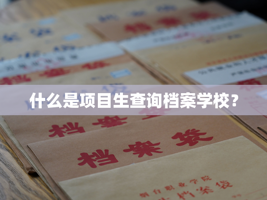 什么是项目生查询档案学校？