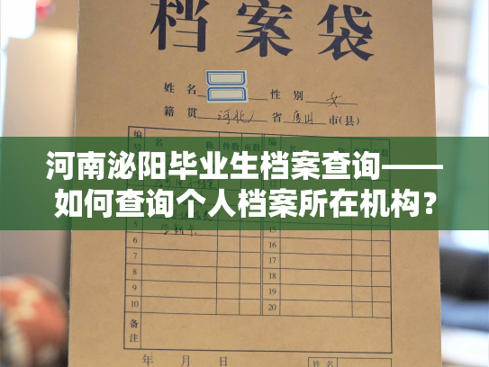 河南泌阳毕业生档案查询——如何查询个人档案所在机构？