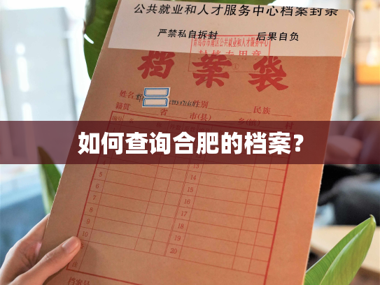 如何查询合肥的档案？