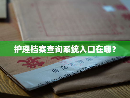 护理档案查询系统入口在哪？