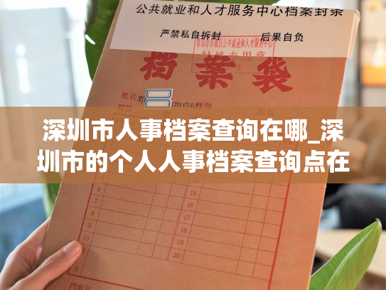 深圳市人事档案查询在哪_深圳市的个人人事档案查询点在哪里？
