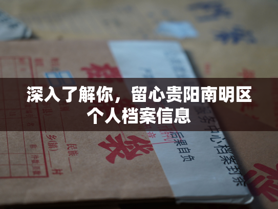 深入了解你，留心贵阳南明区个人档案信息