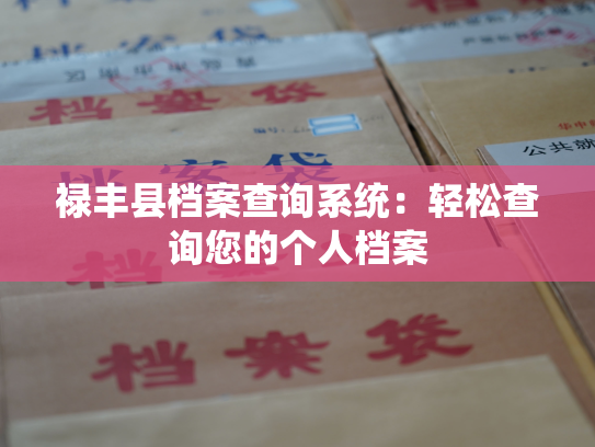 禄丰县档案查询系统：轻松查询您的个人档案