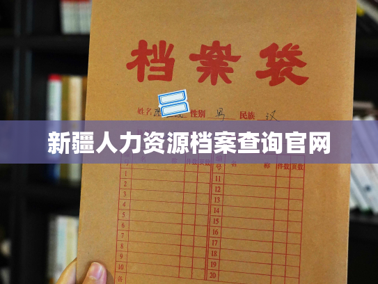 新疆人力资源档案查询官网