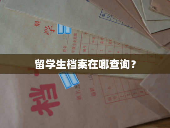 留学生档案在哪查询？