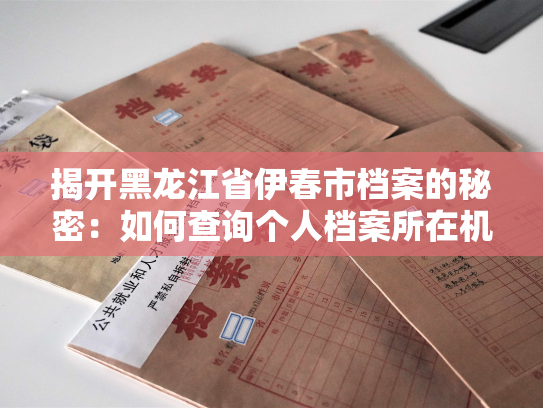 揭开黑龙江省伊春市档案的秘密：如何查询个人档案所在机构