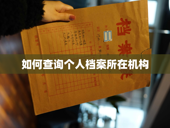 如何查询个人档案所在机构
