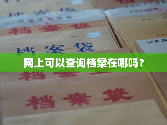网上可以查询档案在哪吗？