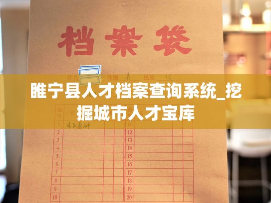 睢宁县人才档案查询系统_挖掘城市人才宝库