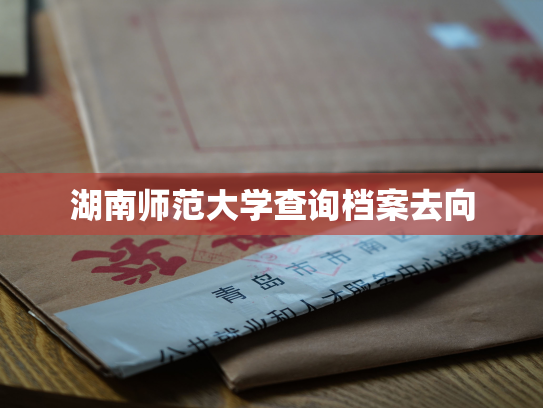 湖南师范大学查询档案去向