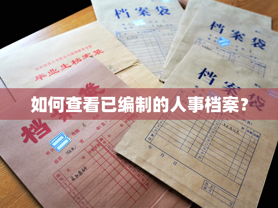 如何查看已编制的人事档案？
