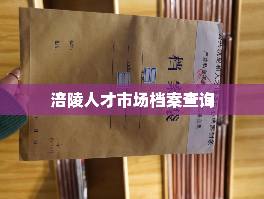 涪陵人才市场档案查询