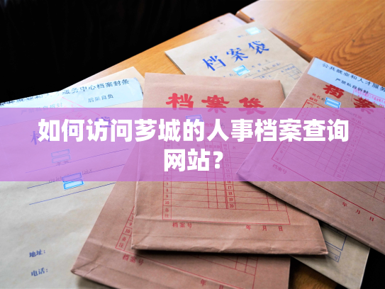如何访问芗城的人事档案查询网站？