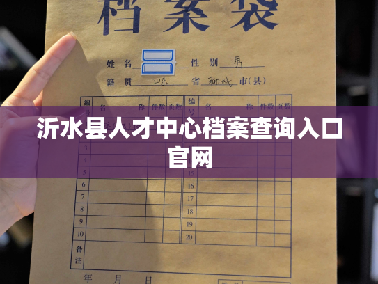沂水县人才中心档案查询入口官网