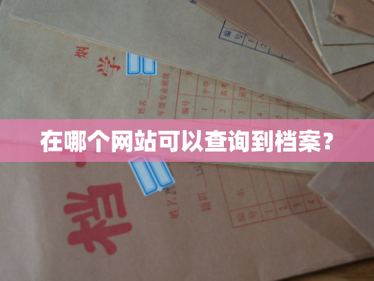 在哪个网站可以查询到档案？
