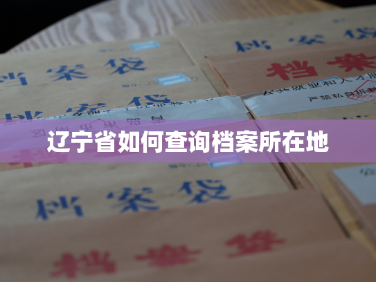 辽宁省如何查询档案所在地