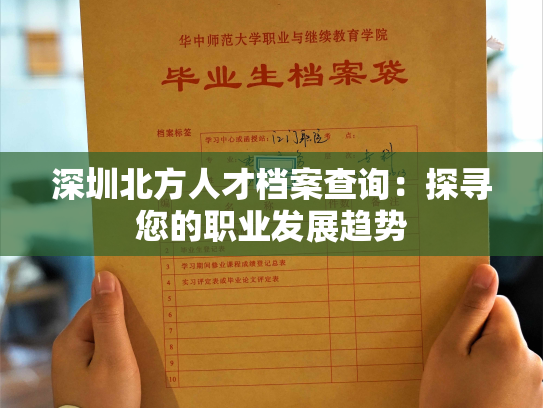 深圳北方人才档案查询：探寻您的职业发展趋势