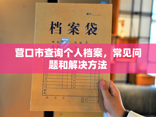 营口市查询个人档案，常见问题和解决方法