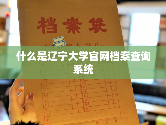 什么是辽宁大学官网档案查询系统