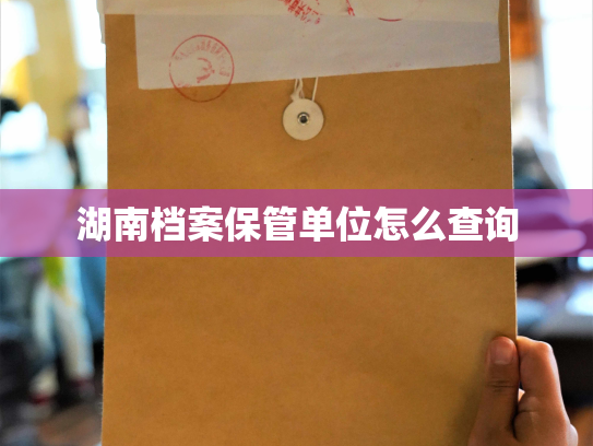 湖南档案保管单位怎么查询